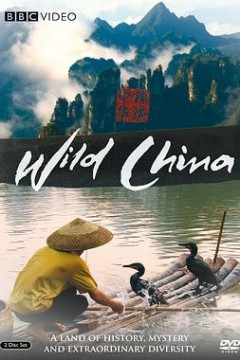 美丽中国