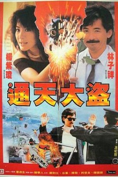 通天大盗国语