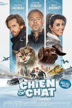 猫狗大乱斗