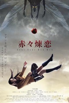 赤赤炼恋