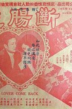 断肠花粤语