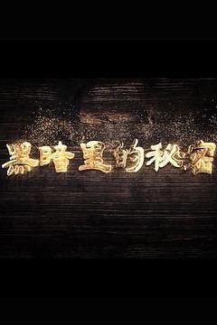 黑暗里的秘密