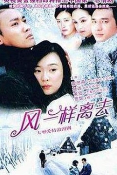 像风一样离去