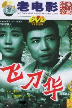 飞刀华
