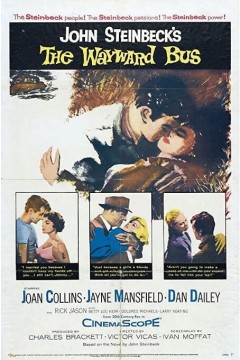 啼笑姻缘路1957