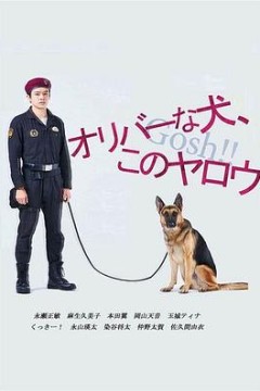 奥莉佛是狗，(天哪！！)这家伙