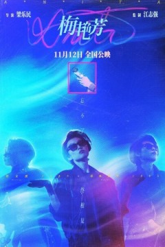 梅艳芳电影版