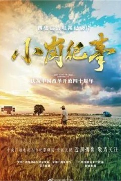 小岗纪事