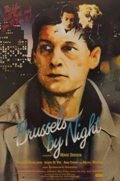 布鲁塞尔之夜