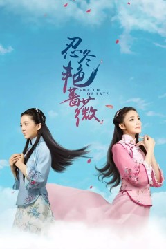 忍冬艳蔷薇2016