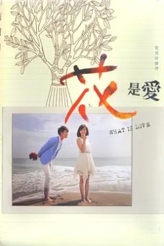花是爱