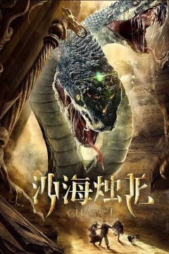 沙海烛龙2020