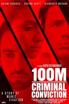 100M 刑事定罪