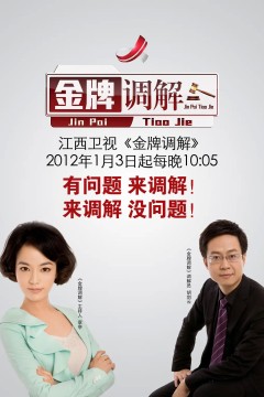 金牌调解2016