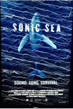 噪音海洋