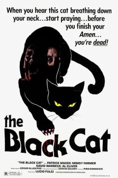 黑猫1981