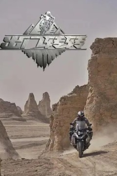出门转转