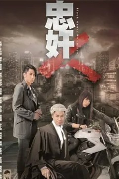 忠奸人2014