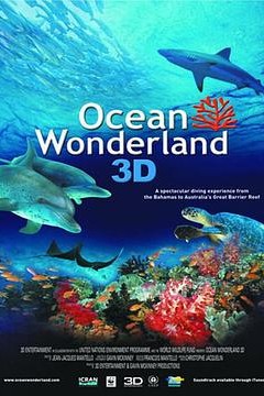 海洋仙境