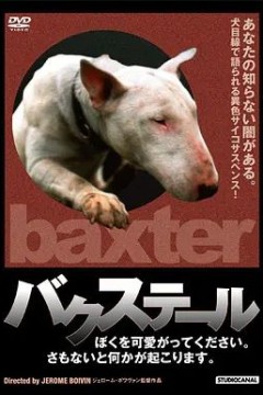 家有酷狗