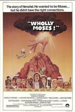 天命1980