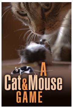 猫鼠游戏2019