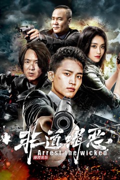 非道缉恶2022