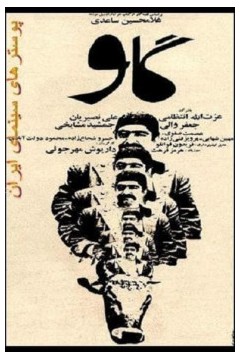奶牛1969