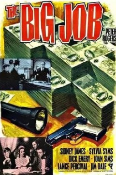 糊涂大盗