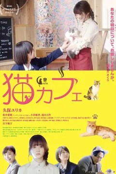 猫咪咖啡厅2018