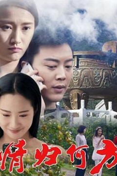 情归何方