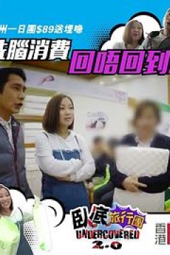 卧底旅行团2.0