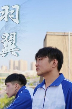 羽翼
