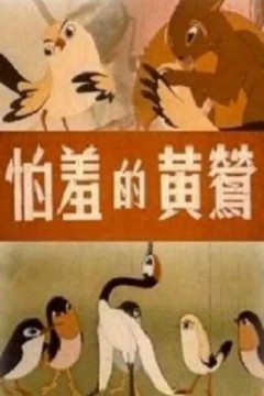 怕羞的黄莺