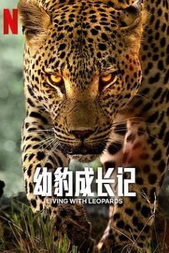 幼豹成长记