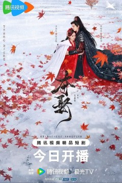 夺娶2025