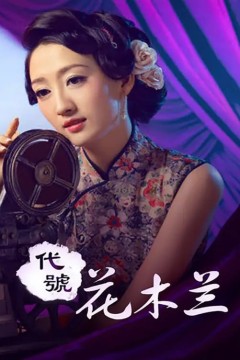 代号花木兰2011