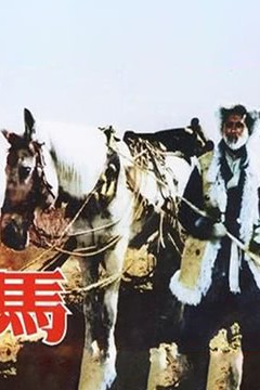 马1956