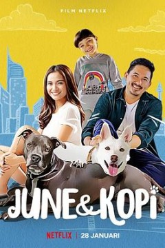 我的流浪狗 June &amp; Kopi