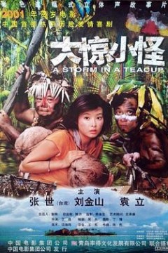 大惊小怪2000