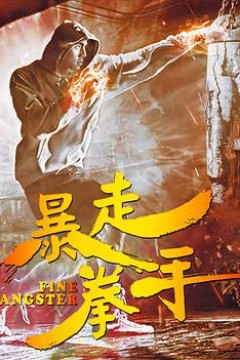 暴走拳手
