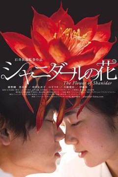 沙尼达尔之花