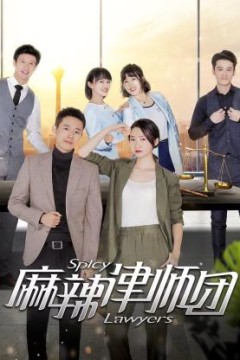 麻辣律师团