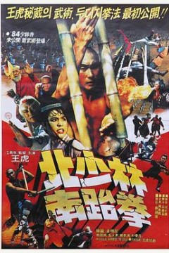 北少林南跆拳
