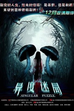 异度迷局