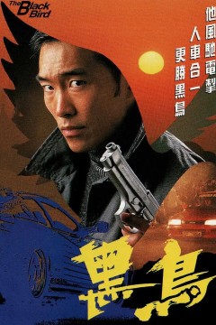 黑鸟1995