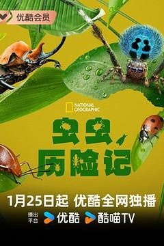虫虫历险记第一季