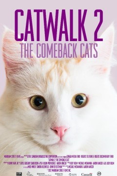 《猫步2：回归的猫》