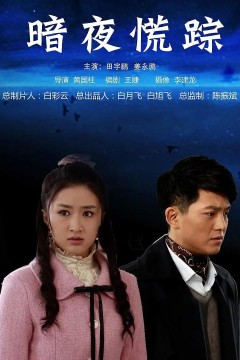 暗夜慌踪2013