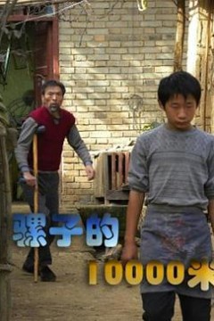 骡子的10000米